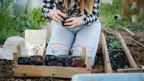 greenway biotech tomato fertilizer 4-18-38