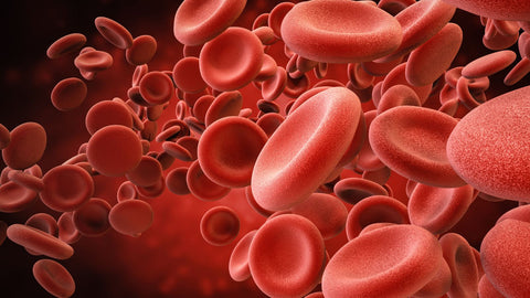 healthy red blood cells
