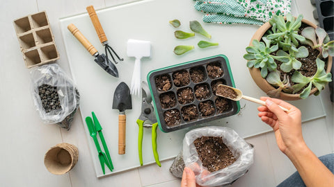 making seed starting mix