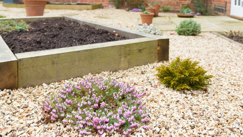 Raised garden bed with pea gravel pathway