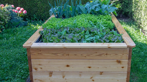 wooden raised garden bed