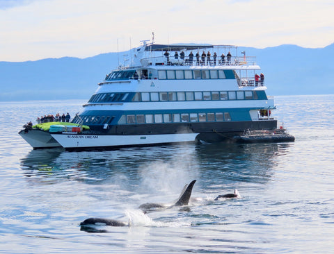 Alaskan Dream Cruises, Alaskan Dream