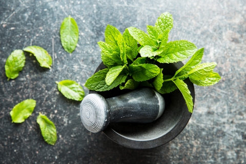 What is Menthol - Know 15 Surprising Benefits