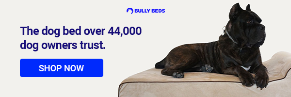 Bully Beds - Orthopedic Dog Beds