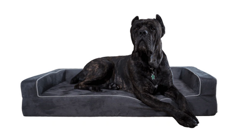 Best Dog Bed Covers 