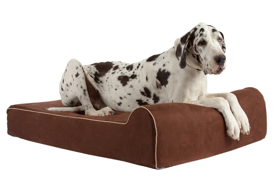 massive dog bed