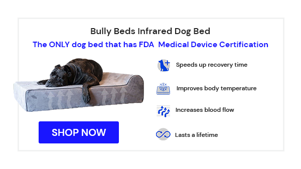 Infrared Dog Bed - Orthopedic, Washable & Waterproof
