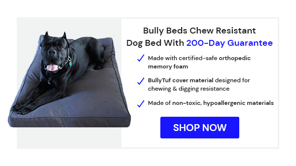 Bully Beds Chew Proof Dog Bed - 200-Day Guarantee