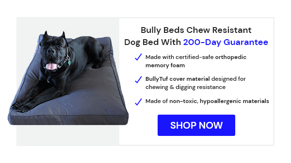 Chew Proof Dog Beds for Large Breed Dogs