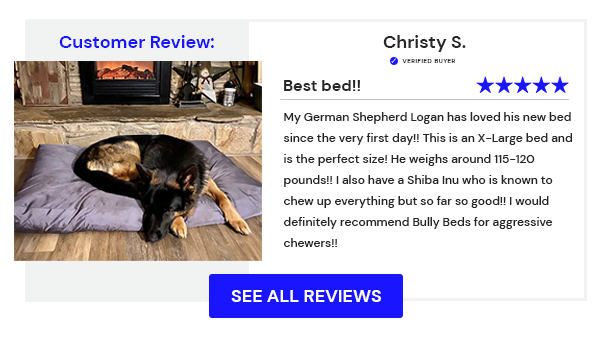 Bully Bed Chew Proof Dog Bed - Customer Review