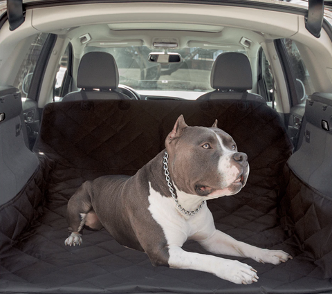 Dog Cargo Liner