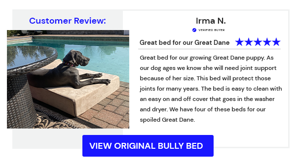 Therapeutic Dog Bed - Bully Beds Customer Review