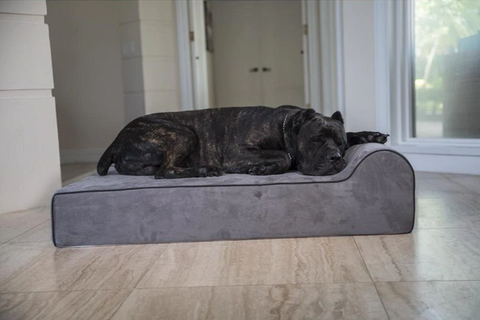 Infrared Dog Bed