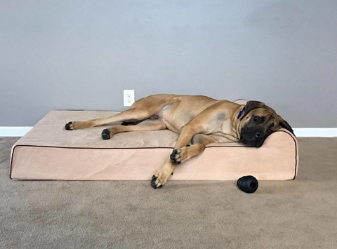 benefits of orthopedic dog mattress