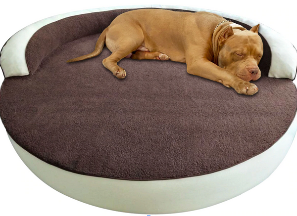 Orthopedic Dog Bed