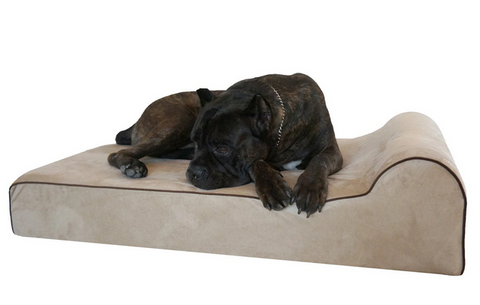 What makes a dog bed orthopedic