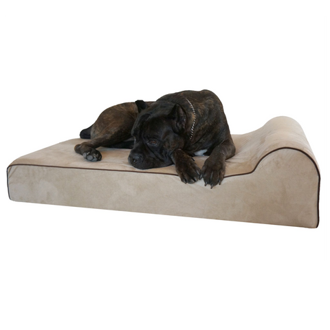 Original Orthopedic Bully Bed