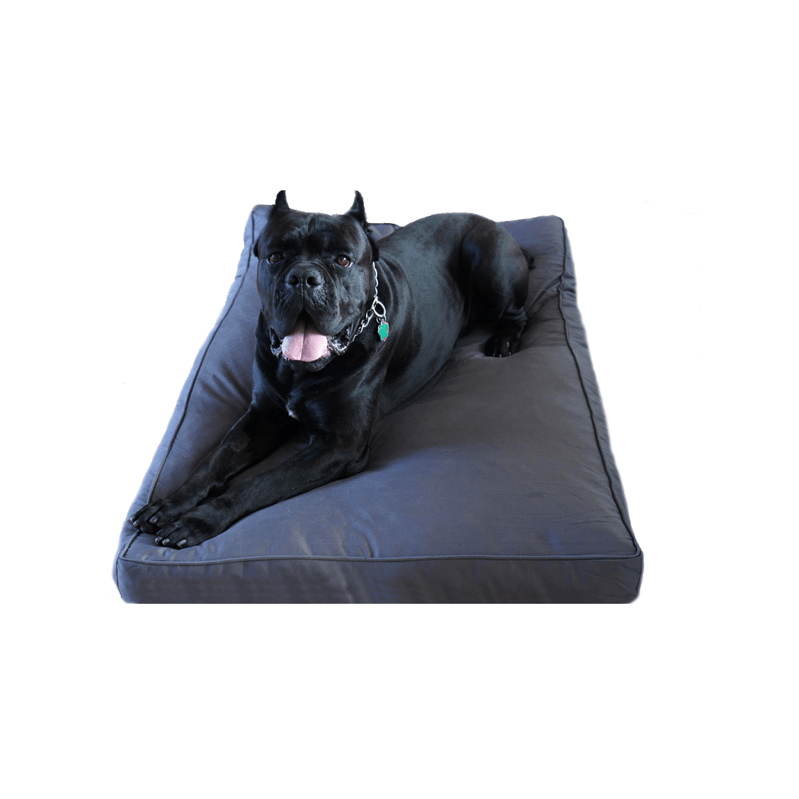 Chew Proof Dog Bed (with a 200 Day Guarantee) - Bullybeds.com product image