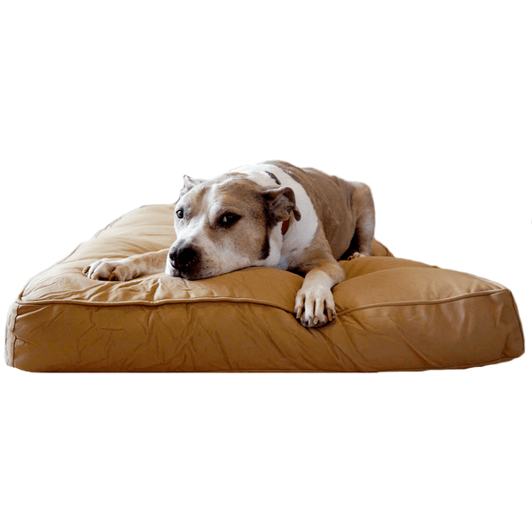 Rectangular Tear-Resistant Dog Bed Cushion : Get 20% Off