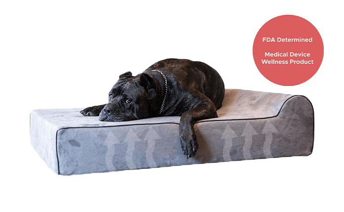 Orthopedic Infrared Dog Bed