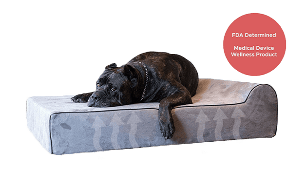 Infrared Dog Bed, Therapeutic Beds