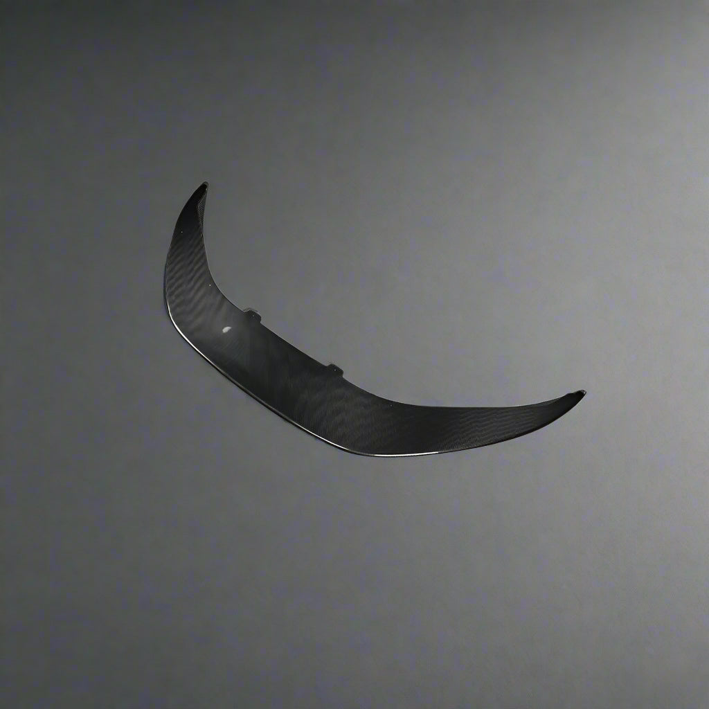 Audi R8 Carbon Fiber Rear Wing and Diffuser Lip