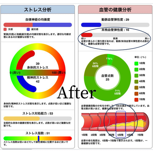 to-ji インスタ.002.jpeg__PID:41217be2-64ca-4eba-bd63-8777e165d476