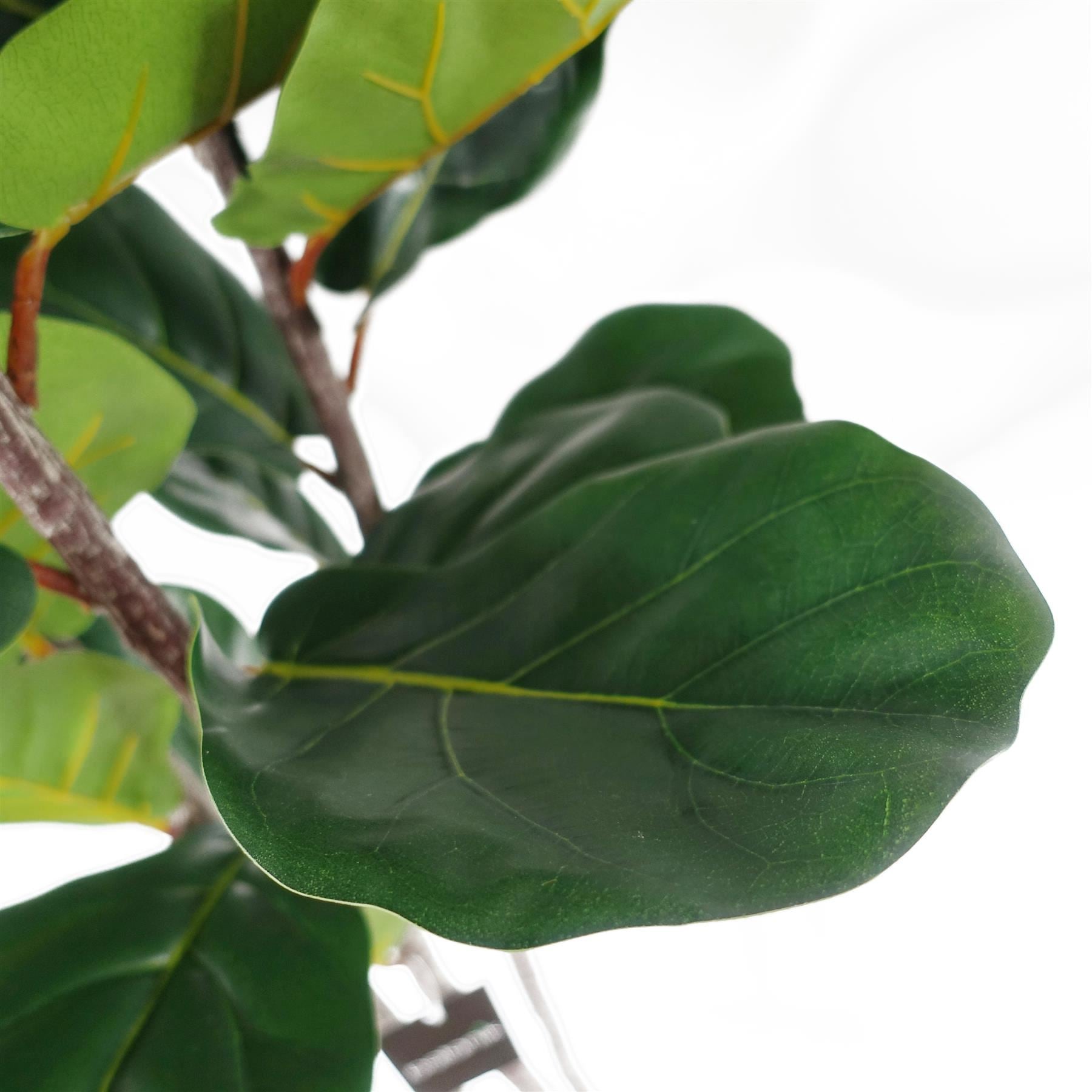 Leaf Large Fiddle Fig Tree Artificial  150cm Premium Plant - Image 5