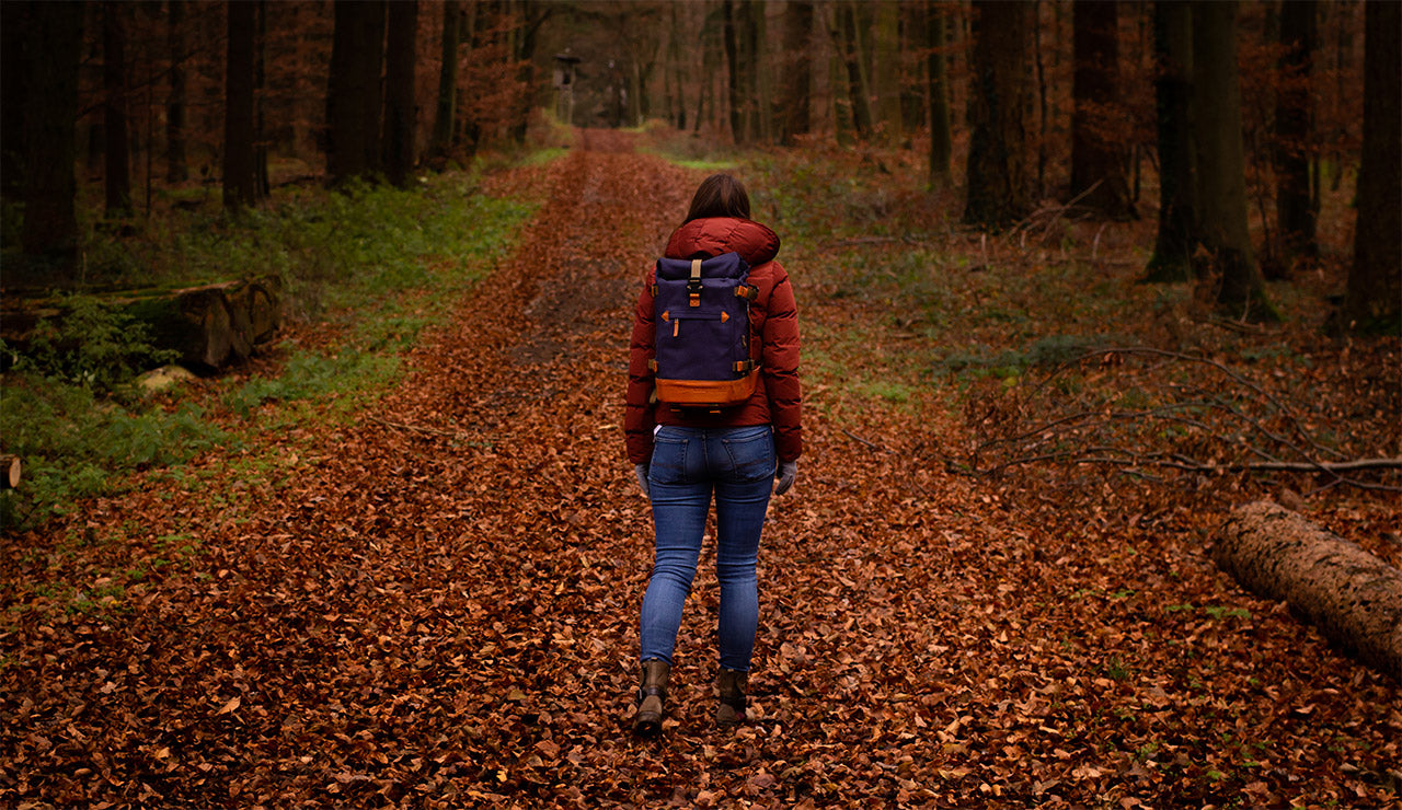 little backpack blue forest compagnon blog