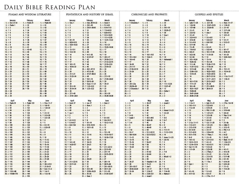 Bible Reading Plans Moments With The Book
