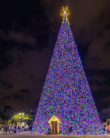 100ft Christmas Tree in Delray Beach FL