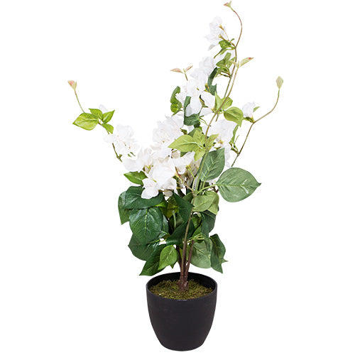 CA3441B Maceta Bugambilia Blanca 76 cm. — Chelsea Loft