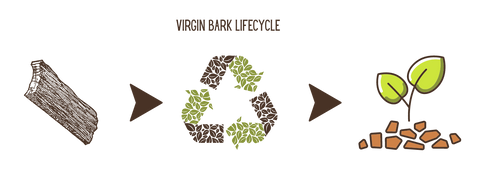 A graphic showing the virgin cork bark lifecycle. From bark to being recycled to being cork granules