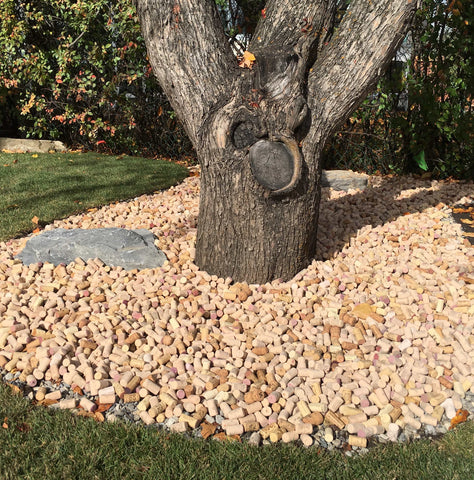 Wine corks used to mulch a large tree. 