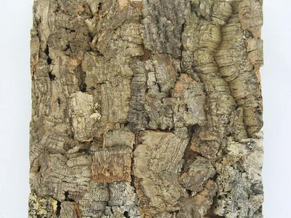 Arizona Natural Cork Belly Tile