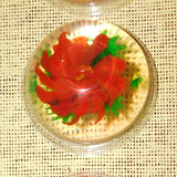 Gelatin Art Made By Kids