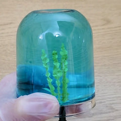 Jelly Algae