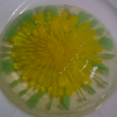 Gelatin Art Flower No Titanium Dioxide