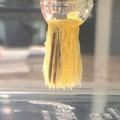 Gelatin Art Needle