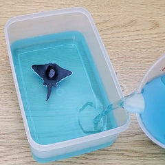 Stingray jelly