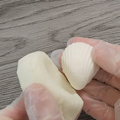 Sea shell mold