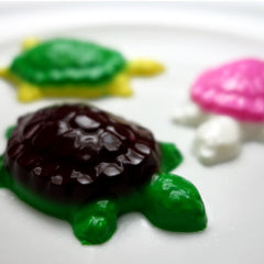 Gelatin Turtle