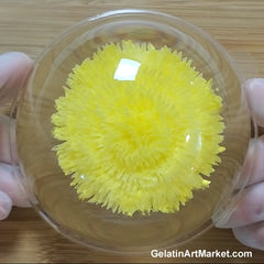 Jelly Art Flower