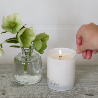 Olieve & Olie Soy Candles