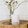 OLIEVE & OLIE – Olive Oil & Soy Wax Candle