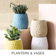 Planters and vases