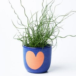 Jones and Co Heart Pot