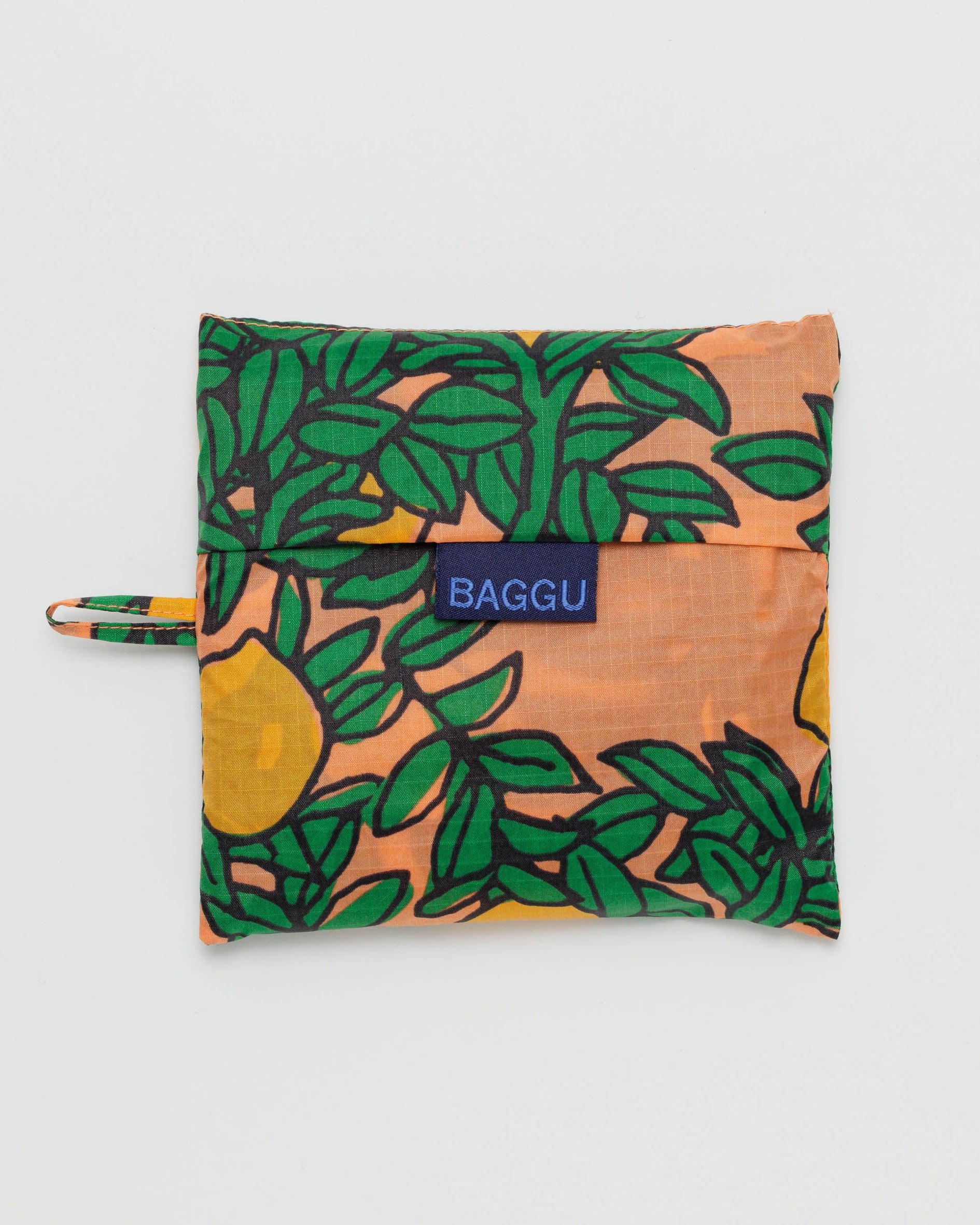 Big Baggu