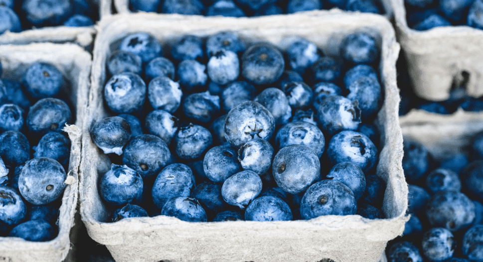 antioxidant benefits of blueberries