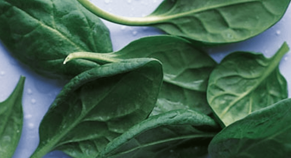 health benefits of spinach